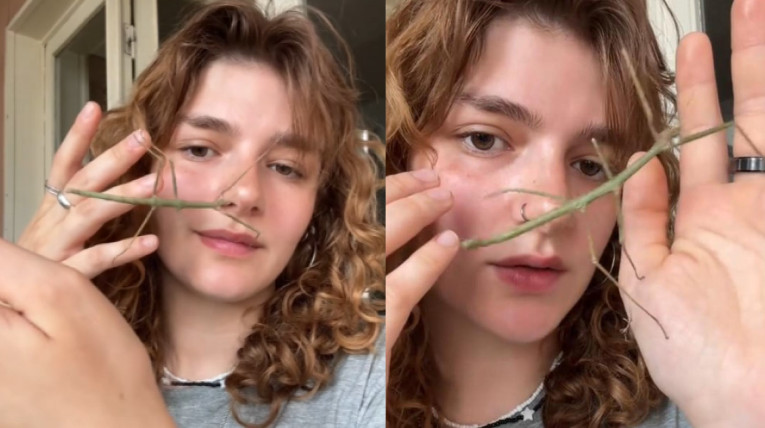 VIDEO: "ვერ ვხვდები რა მიზეზი უნდა გქონდეთ ამის განადგურებისთვის, მხოლოდ თქვენი შიში?" - ახალგაზრდა გოგო "ტიკტოკზე" უჩვეულო ვიდეომიმართვას ავრცელებს