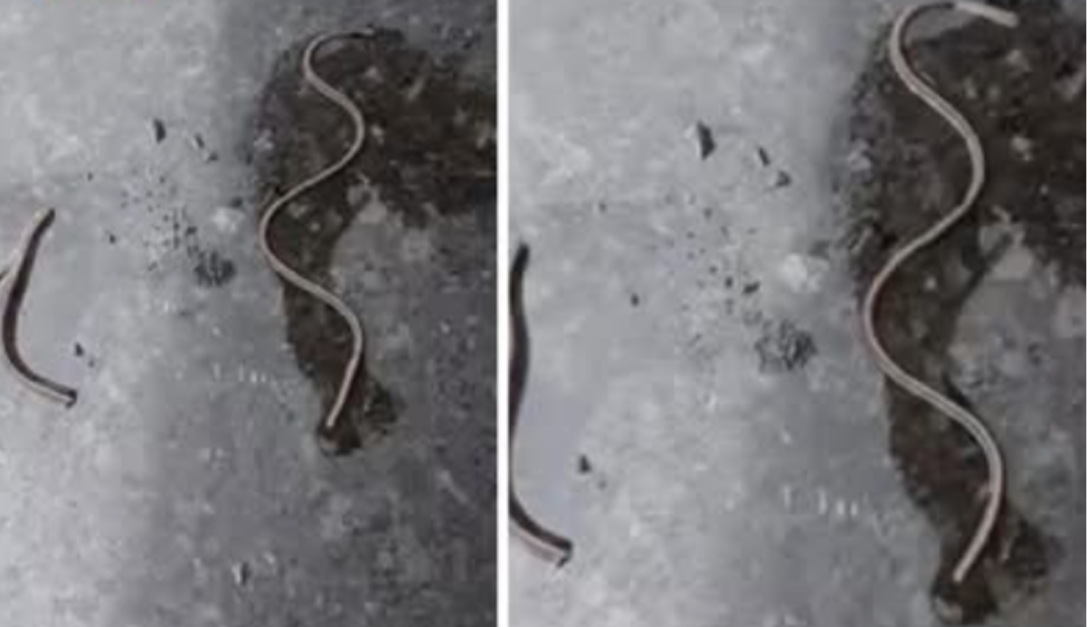 VIDEO: "საშინელებაა, ფრთხილად იყავით ხალხნო! -მოვხსენი ონკანის თავი და ეს დამხვდა..." - მოქალაქე მოსახლეობას მიმართავს