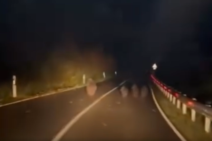 VIDEO: რა დააფიქსირეს გომის მთაზე მიმავალი ავტომობილიდან? - კადრები, რომლებიც სოციალურ ქსელში გავრცელდა, კრიტიკის საგანი გახდა