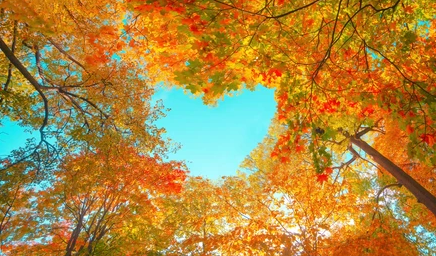 როგორი ამინდია მოსალოდნელი საქართველოში მომდევნო 1 კვირის განმავლობაში