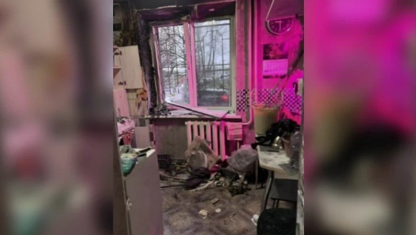 13 წლის გოგომ დედა თამაშში დაგეგმილი სცენარით მოკლა – აღძრულია სისხლის სამართლის საქმე 13 წლის გოგომ დედა თამაშში დაგეგმილი სცენარით მოკლა – აღძრულია სისხლის სამართლის საქმე