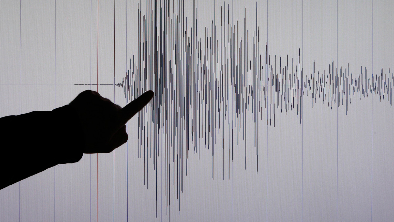 არის მსხვერპლი - ძლიერი მიწისძვრა მეხიკოში