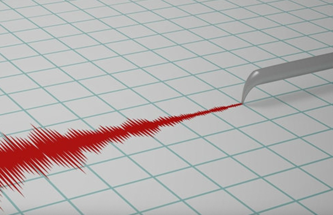 საქართველოში მიწისძვრა მოხდა