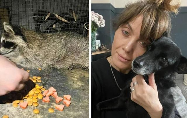 ცნობილია საშინელ ავარიაში დაიღუპული პოლიციელი ქალის ვინაობა.